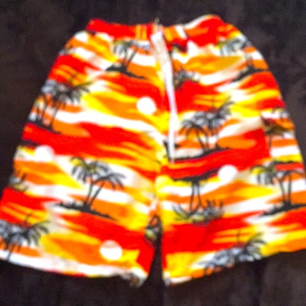 Board / Swimming Shorts